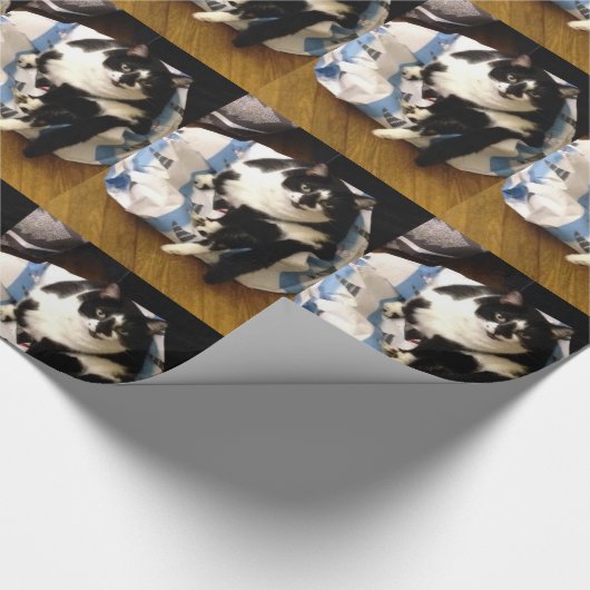 Foto Tuxedo Cat auf Weihnachtswrapping Paper Geschenkpapier (Ecke)