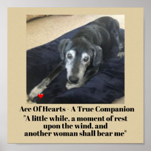 Foto Typografie-Gedenkpapier für Begleiter (Matte) Poster