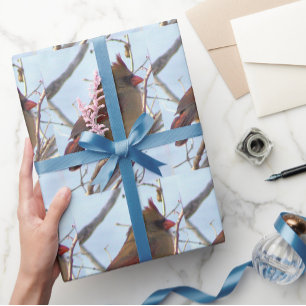Foto-Umschlagpapier für den nördlichen Kardinal Geschenkpapier