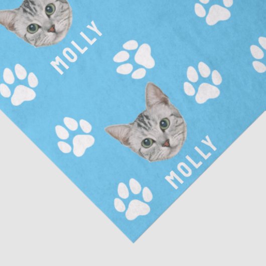 Foto und Name Blau für Katzen Seidenpapier (Ausschnitt)