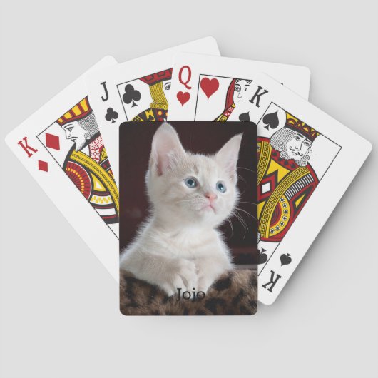 Foto und Name des benutzerdefinierten Katzen Spielkarten (Rückseite)