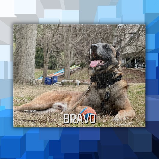 Foto und Name des Hundes, Familienzeit, Cooler Spa Puzzle