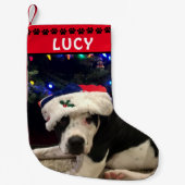 Foto und Name des Hundes | Red Black Paw Prints Kleiner Weihnachtsstrumpf (Vorderseite)