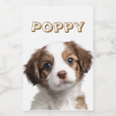 Foto und Name des Lebensmittelbehälters für benutz Lebensmitteletikett (Einzelnes Label)