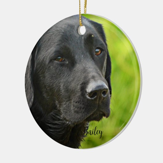 Foto und Name des personalisierten Hauses Keramik Ornament (Links)