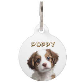 Foto und Name des Tieres Haustiermarke