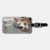 Foto und Name des Tieres, Kontaktinformationen Gepäckanhänger (Vorderseite horizontal)