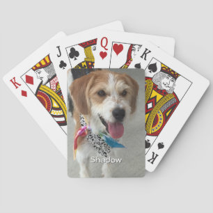 Foto und Name des Tieres oder des Kindes Spielkarten