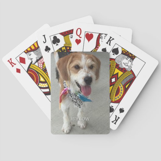 Foto und Name des Tieres Spielkarten (Rückseite)