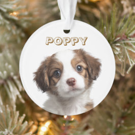Foto und Name für Hunde Ornament