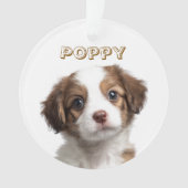 Foto und Name für Hunde Ornament (Vorderseite)
