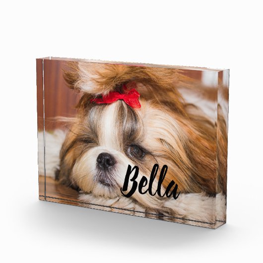 Foto und Name Ihres Haustierhundes (Rechts)