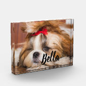 Foto und Name Ihres Haustierhundes (Links)