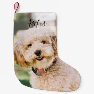 Foto- und Namens-Haustier-Hunde-Feiertag Kleiner Weihnachtsstrumpf