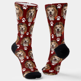 Foto- und Paw-Druckköpfe oder Cat Maroon Custom Socken
