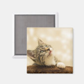 Foto und Text für personalisierte Haustiere Magnet (Vorderseite/Rückseite)