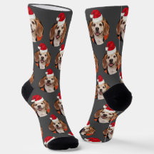 Foto und Weihnachtsmannmützen für Haustiere auf Gr