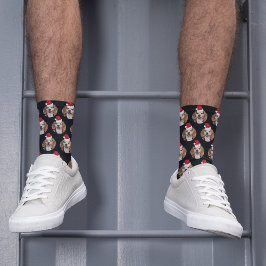 Foto und Weihnachtsmannmützen von Haustieren auf d Socken