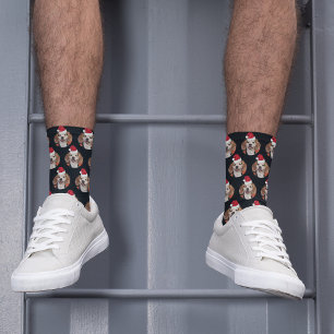 Foto und Weihnachtsmannmützen von Haustieren auf d Socken