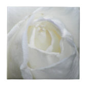 Foto Valentine Fliese (Vorderseite)