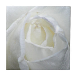 Foto Valentine Fliese