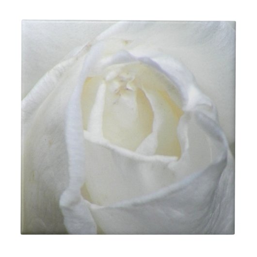 Foto Valentine Fliese (Vorderseite)