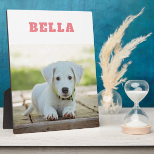 Foto vom Haustierhund Süßer individueller Name And Fotoplatte