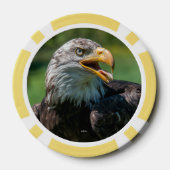 Foto von Adler Pokerchips (Rückseite)