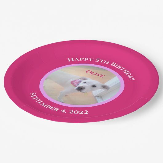 Foto von Adorable Puppy Dog mit scharf rosa Scarf Pappteller (Schrägansicht)