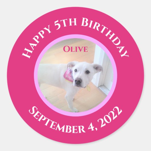 Foto von Adorable Puppy Dog mit scharf rosa Scarf Runder Aufkleber (Vorderseite)