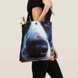 Foto von Border Collie Heeler Mischlingshund, der Tasche