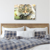 Foto von braunen, langhaarigen Barnkatzen Wrapped Leinwanddruck (Insitu (Schlafzimmer))