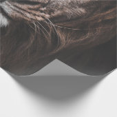 FOTO VON BROWN LION GESCHENKPAPIER (Ecke)