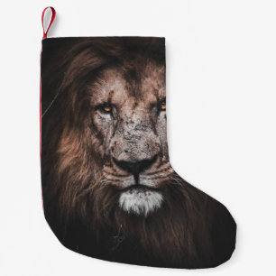 FOTO VON BROWN LION KLEINER WEIHNACHTSSTRUMPF