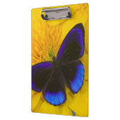 Foto von Butterfly Klemmbrett (Links)