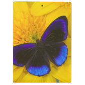 Foto von Butterfly Klemmbrett (Rückseite)