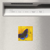 Foto von Butterfly Magnet (In Situ (Geschirrspüler))