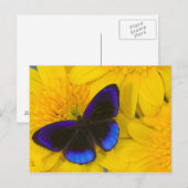 Foto von Butterfly Postkarte (Vorne/Hinten)