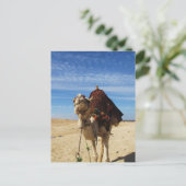 Foto von Camel in Ägypten Postkarte (Stehend Vorderseite)