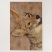 Foto von Coyote in Nevada Puzzle (Vertikal)