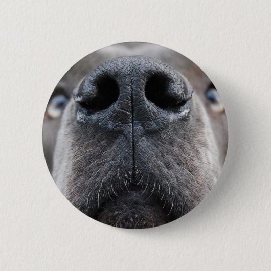 Foto von Deutsche Dogge Button (Vorderseite)