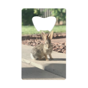 Foto von einem Hasen Ostern Frühling Geldbeutel Flaschenöffner
