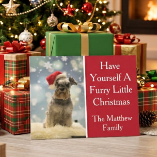 Foto von einem kleinen pelzigen Weihnachtsfamilien Feiertagspostkarte