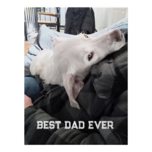 Foto von einem schönen weißen Hund mit Papa zum Va Poster