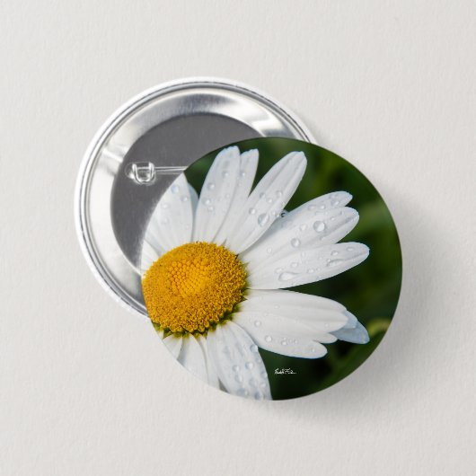 Foto von einer Marguerrilla, grün Button (Vorne & Hinten)