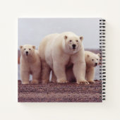 Foto von Eisbär-Mutter und Jungen Notizblock (Rückseite)