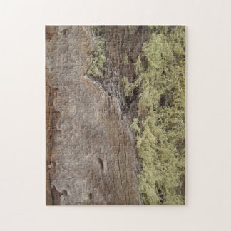 Foto von erwitterter Ponderosa Pine Tree Bark Puzzle