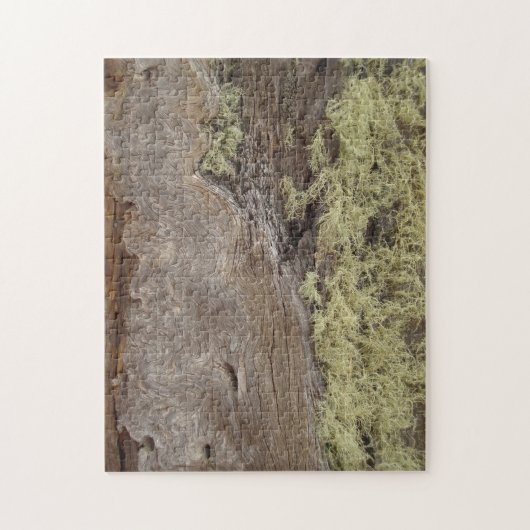 Foto von erwitterter Ponderosa Pine Tree Bark Puzzle (Vertikal)