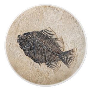 Foto von Fossil Sandstone Keramikknauf