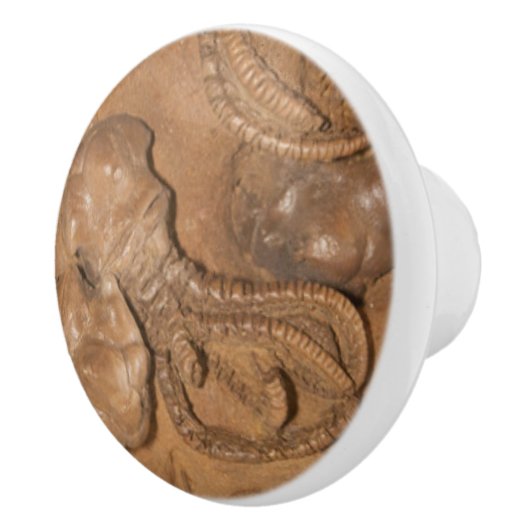 Foto von Fossil Sandstone Keramikknauf (Rechts)